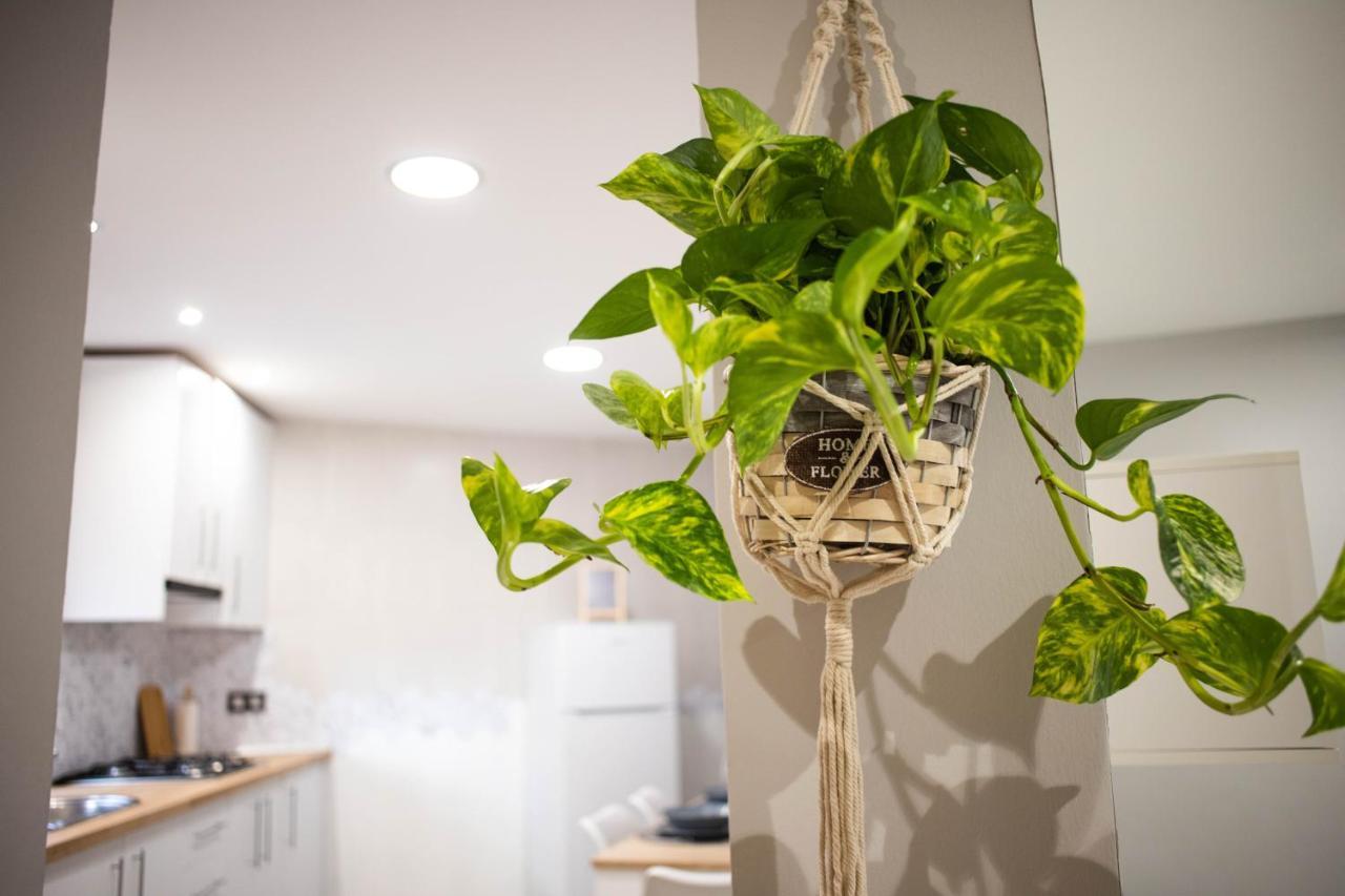 La Pequena Apartment Velez Rubio Ngoại thất bức ảnh